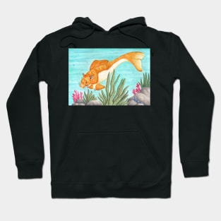 Koi Ratfish Hoodie